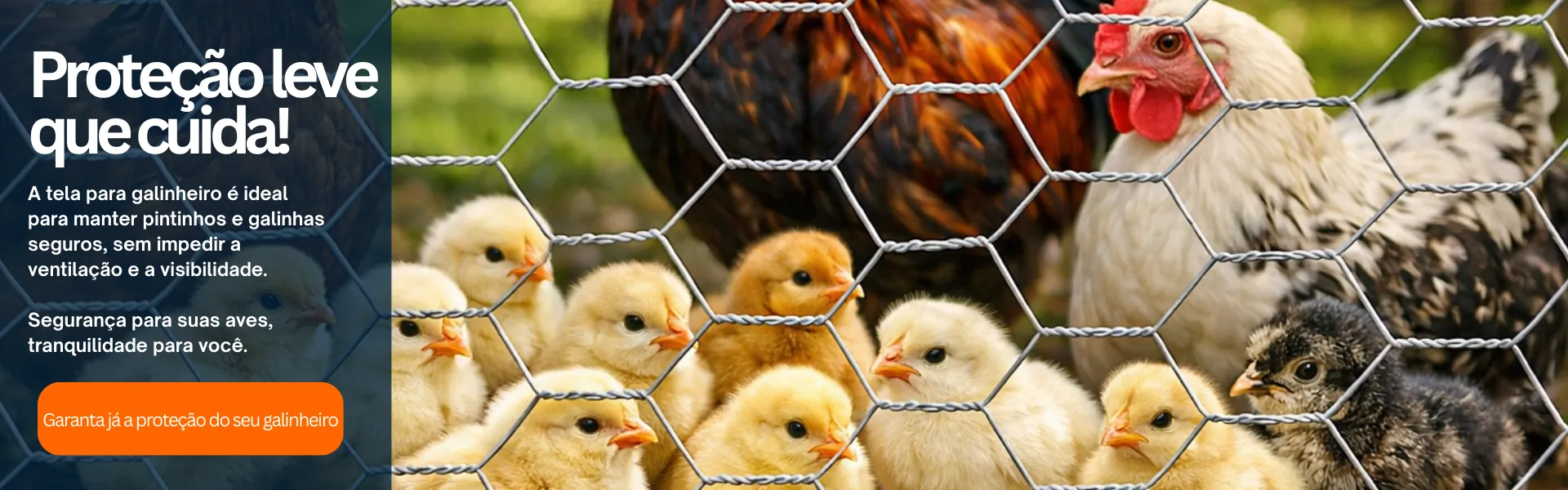Proteção leve que cuida - Tela para galinheiro